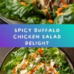 Buffalo Chicken Salad Recipe