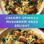 Creamy Spinach and Mushroom Orzo Recipe