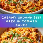 Ground Beef Orzo with Tomato Cream Sauce Recipe