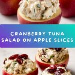Cranberry Tuna Salad on Apple Slices Recipe