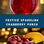 Sparkling Cranberry Punch Recipe
