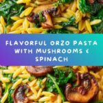 Easy Orzo Pasta with Mushrooms & Spinach Recipe