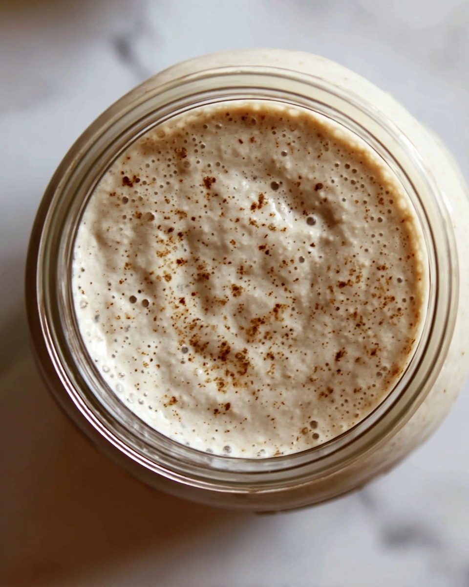 Sourdough Starter Recipe - Recipe Image