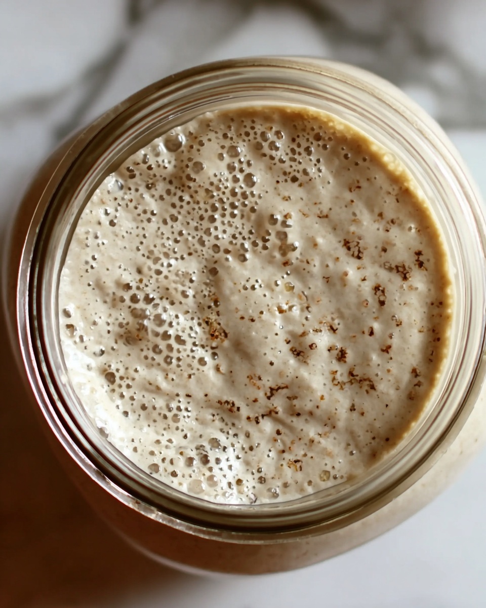 Sourdough Starter Recipe - Recipe Image