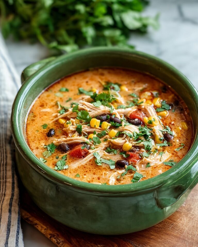 Chicken Enchilada Soup Recipe