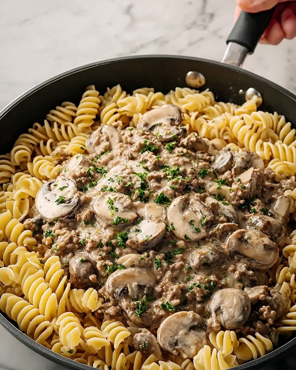 Ground Beef Stroganoff Recipe - Recipe Image