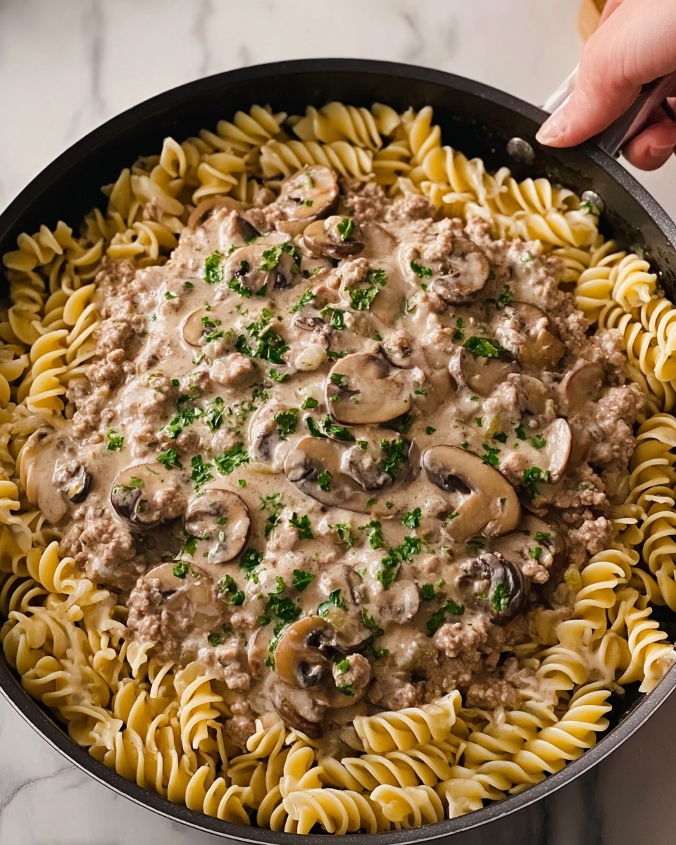 Ground Beef Stroganoff Recipe - Recipe Image