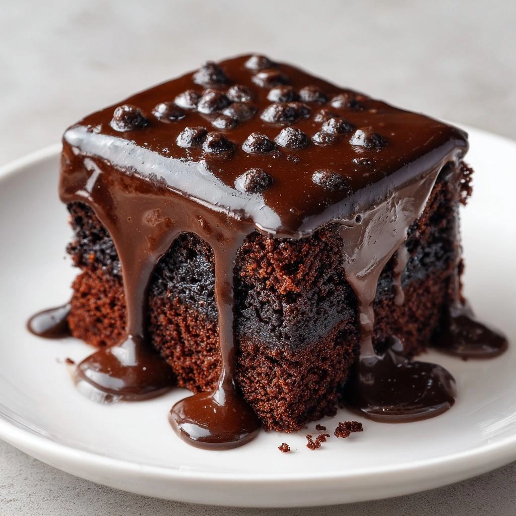 Hot Fudge Pudding Cake Recipe - Recipe Image